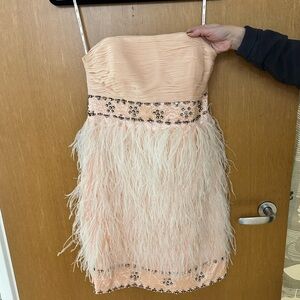 Sue Wong light pink ostrich feather strapless dress